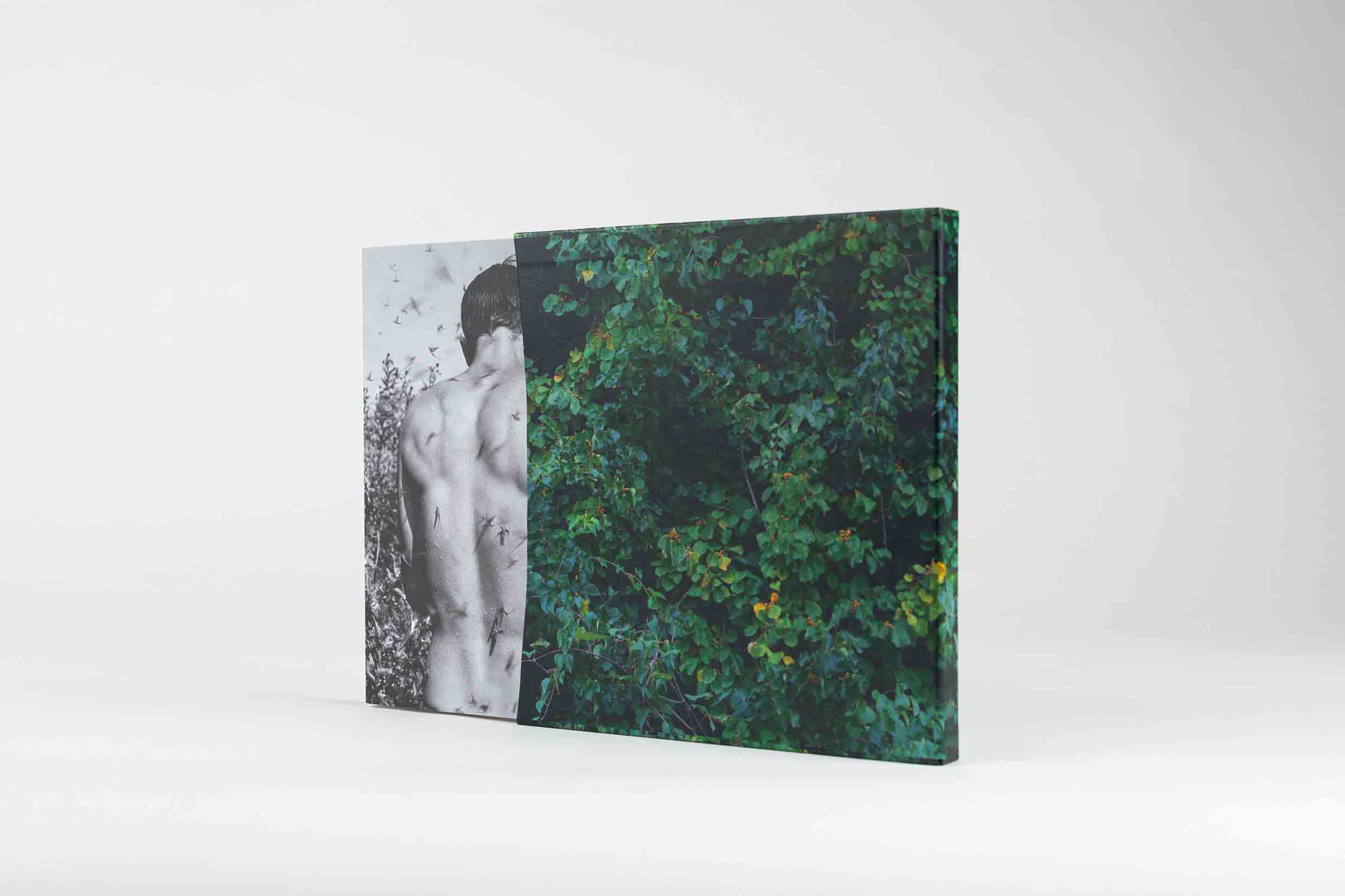 holly-lynton-bare-handed-l'artiere