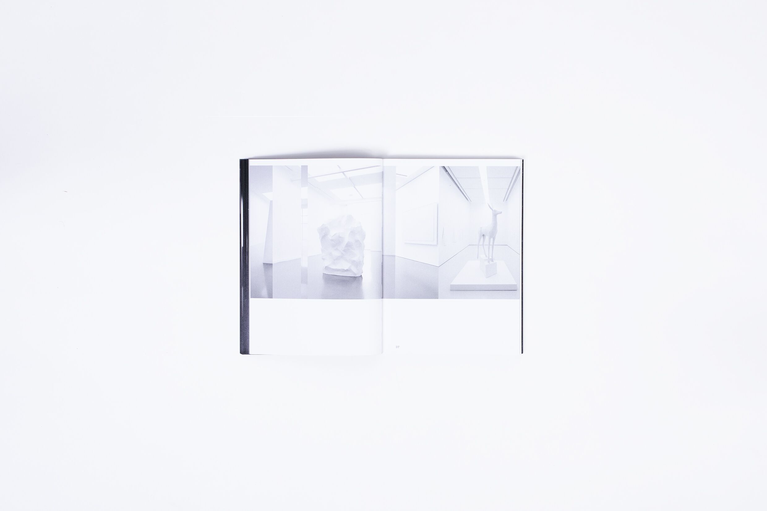 _The Machine Seems To Need A Ghost_David Fathi_
