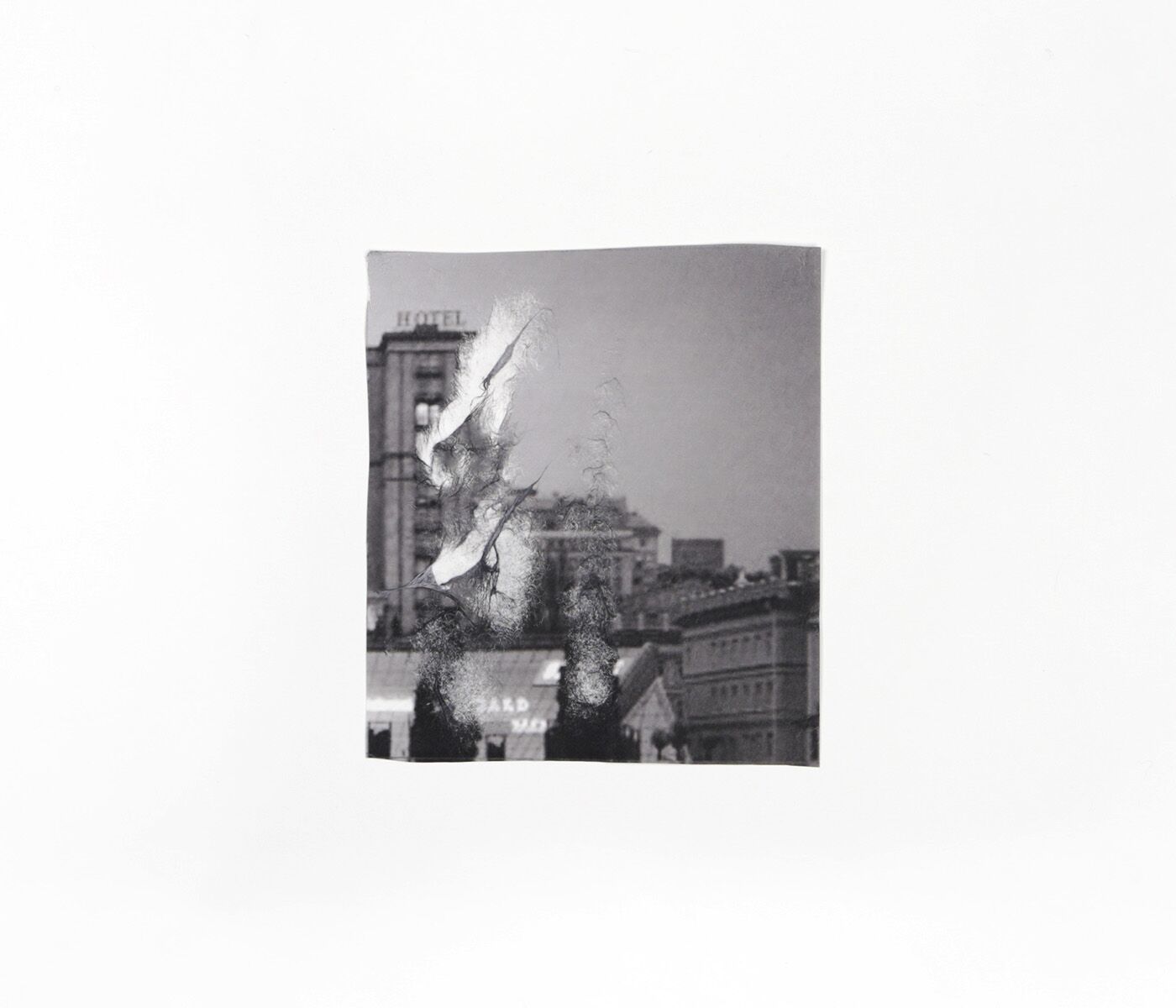 lisa-sartorio-ici-ou-ailleurs-l'artiere