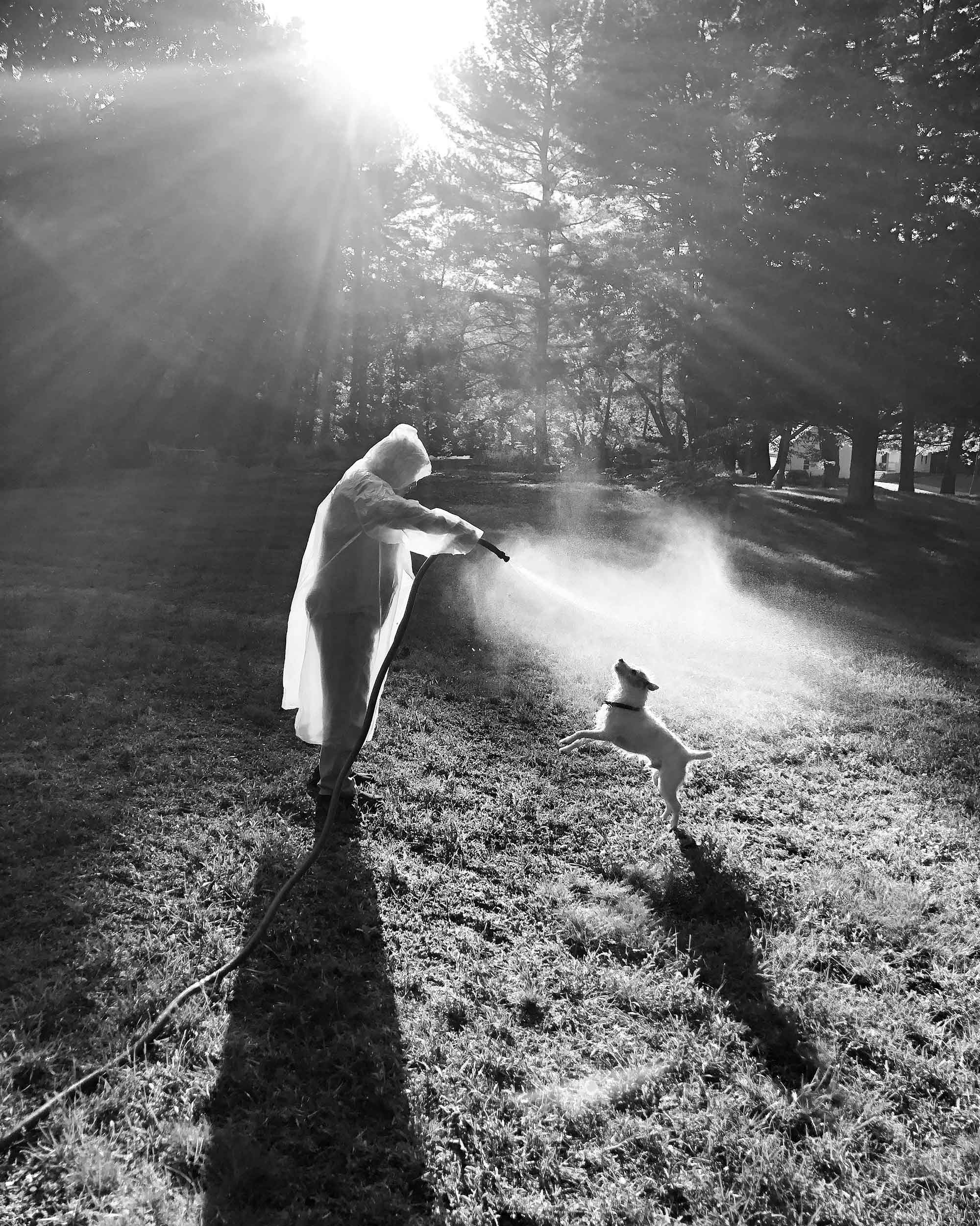 cheryle-st-onge-calling-the-birds-home-l'artiere