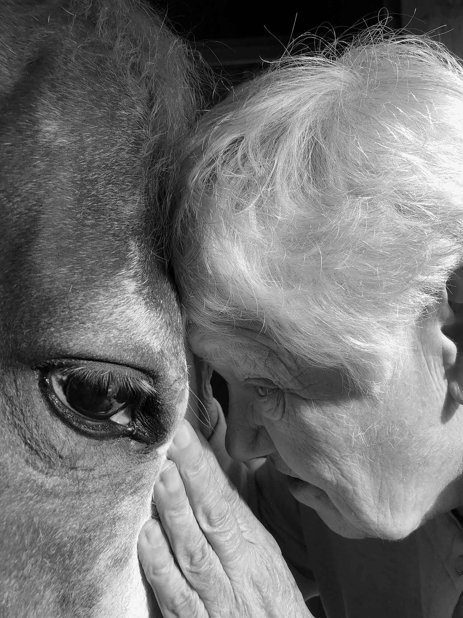 cheryle-st-onge-calling-the-birds-home-l'artiere