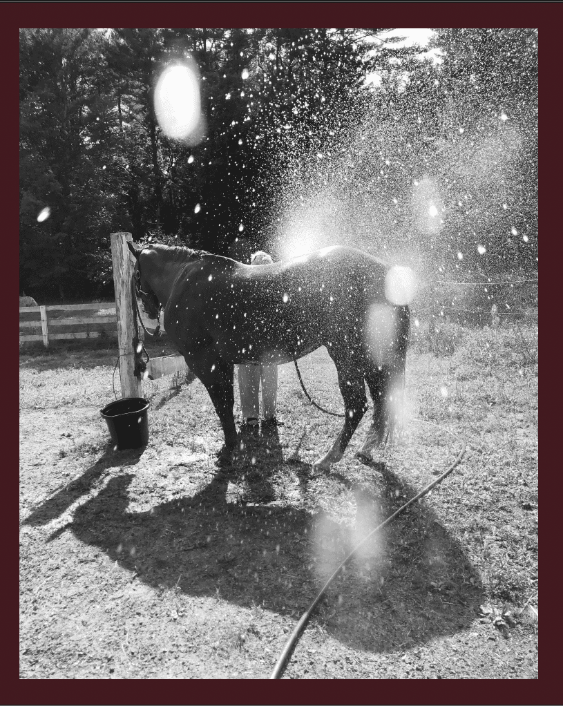 cheryle-st-onge-calling-the-birds-home-l'artiere cheryle-st-onge-calling-the-birds-home-l'artiere