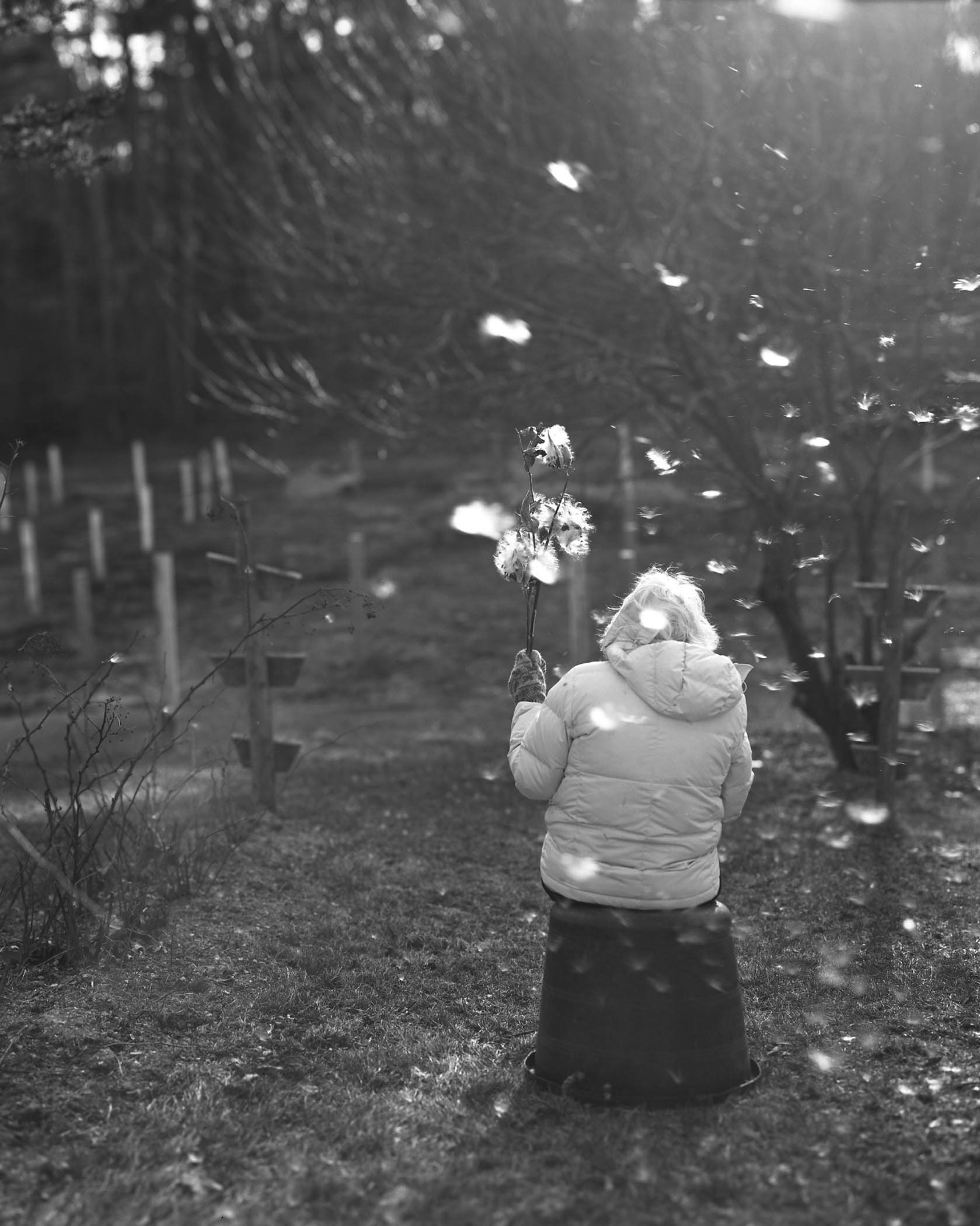 cheryle-st-onge-calling-the-birds-home-l'artiere