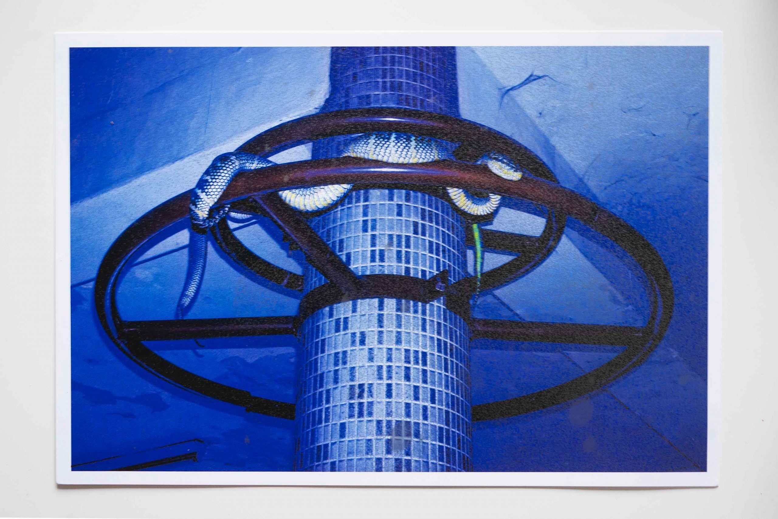 Foto B Preorder Arko Datto "Snakefire"