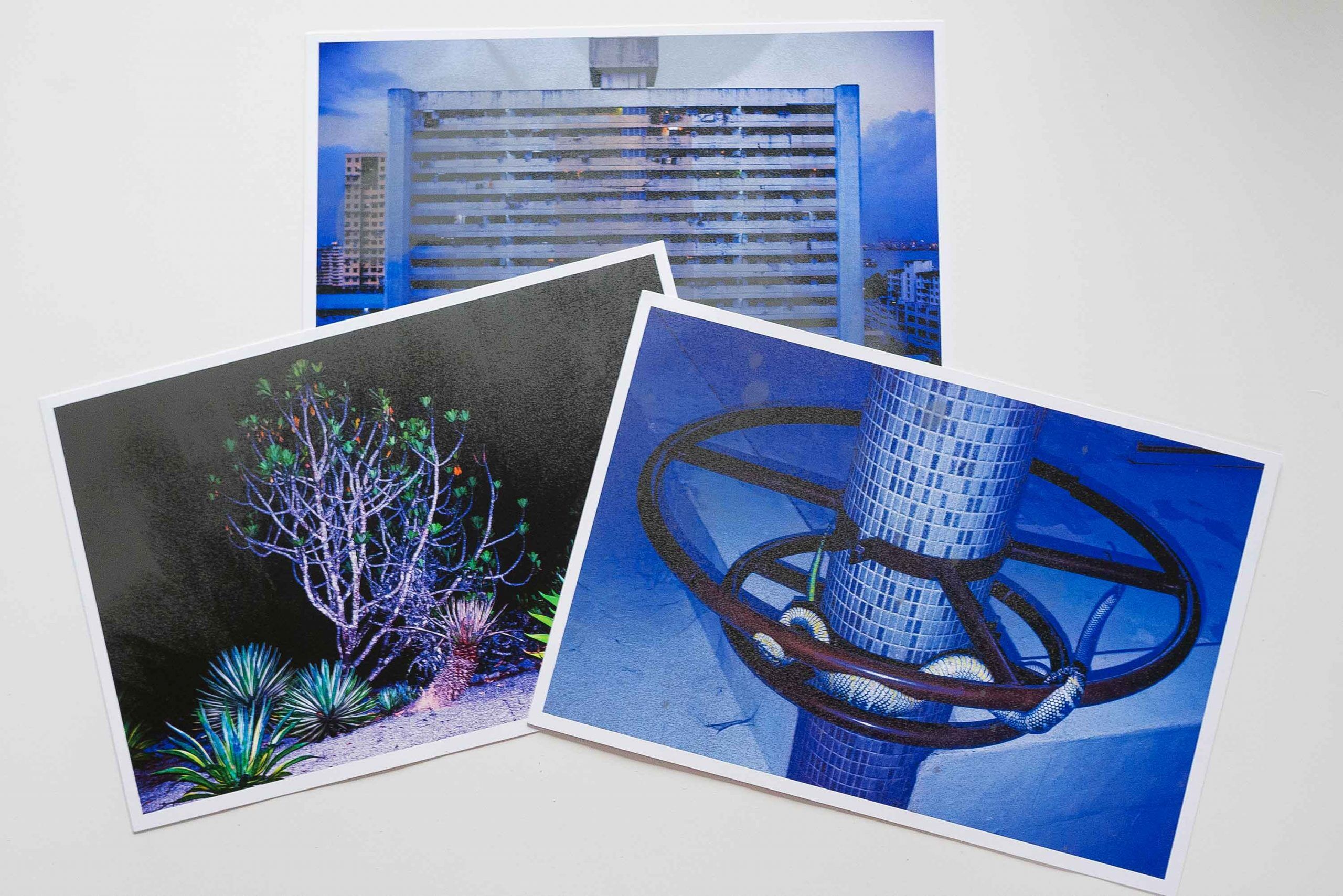 P2500408 snakefire-arko-datto-photography-photobook-nicolas-polli-lartiere-photo-book-indian-photographer