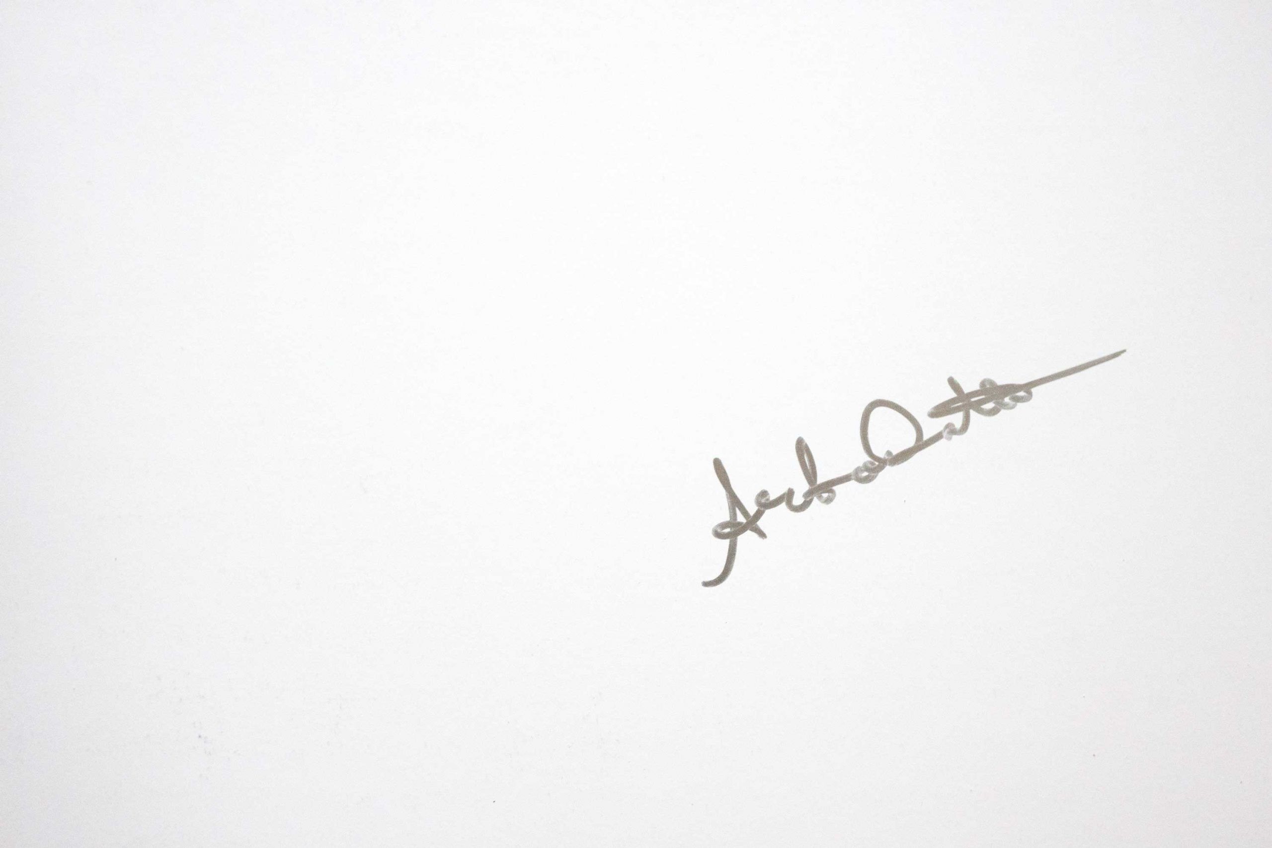 snakefire-arko-datto-photography-photobook-nicolas-polli-lartiere-photo-book-indian-photographer