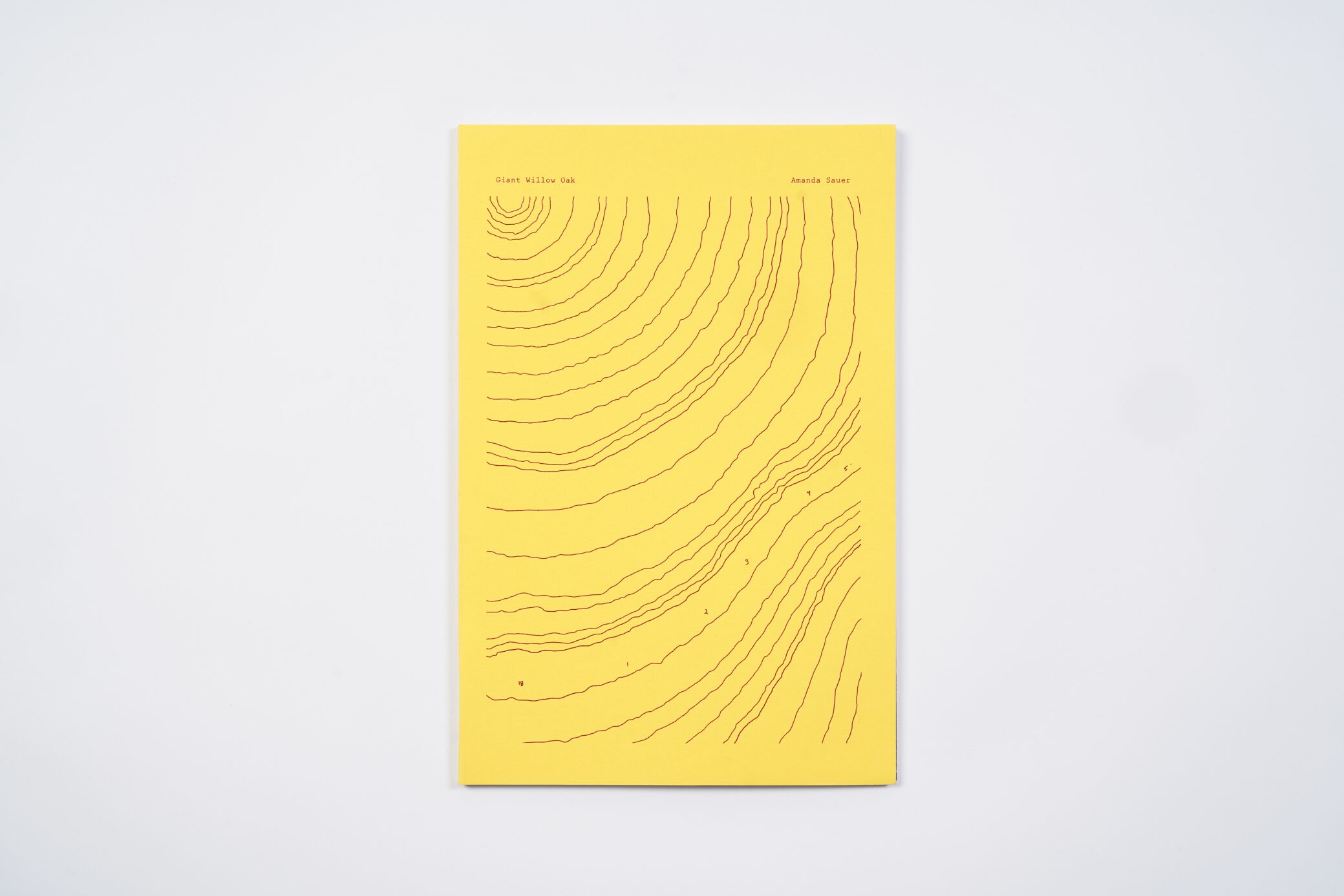 TAA_Artiere_GiantWillowOak amanda-sauer-giant-willow-oak-l'artiere