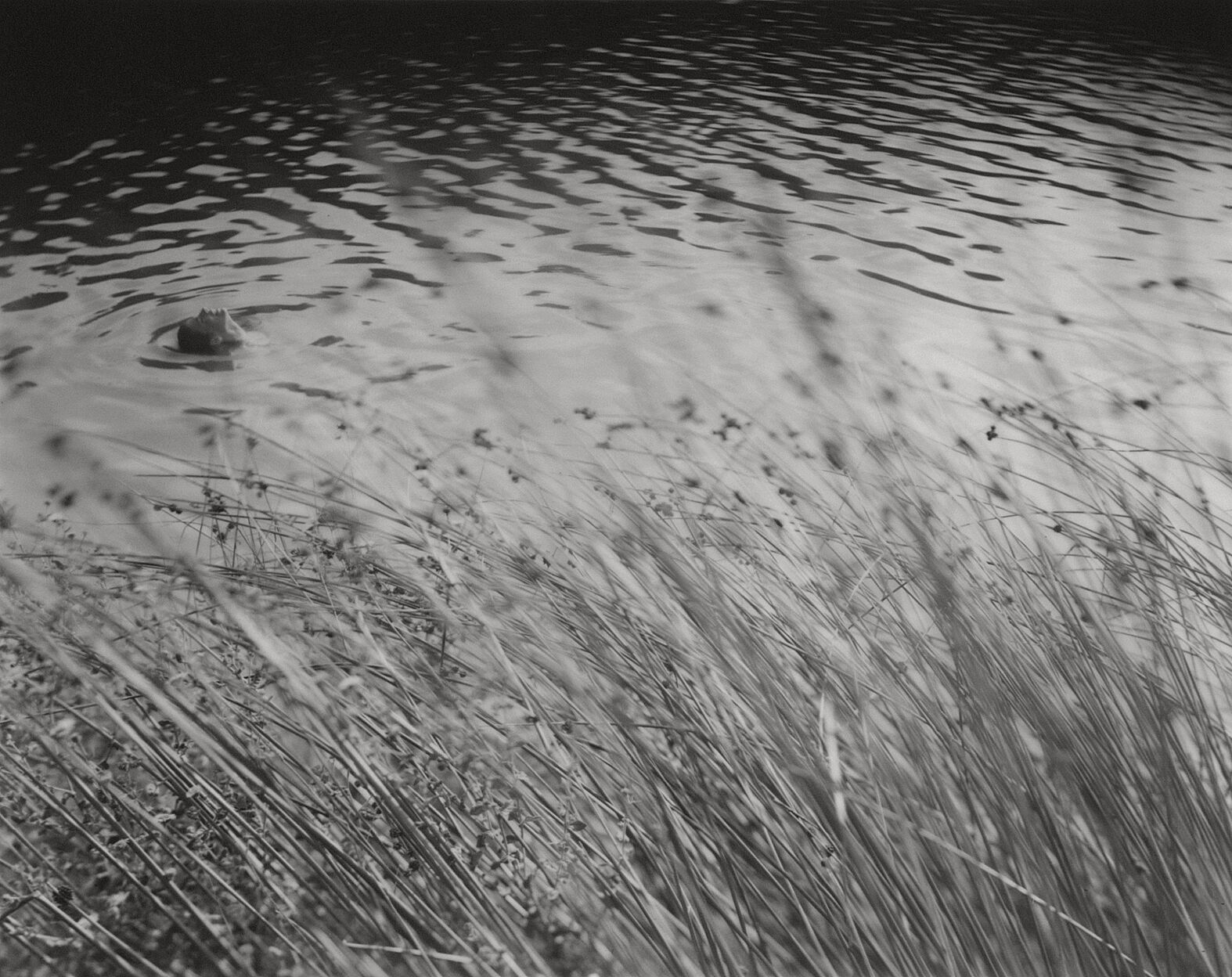 andrea-modica-italian-story-l'artiere