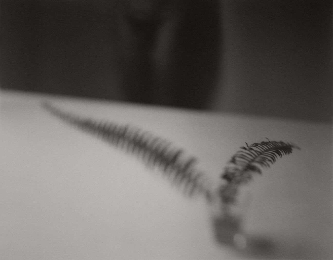 andrea-modica-italian-story-l'artiere