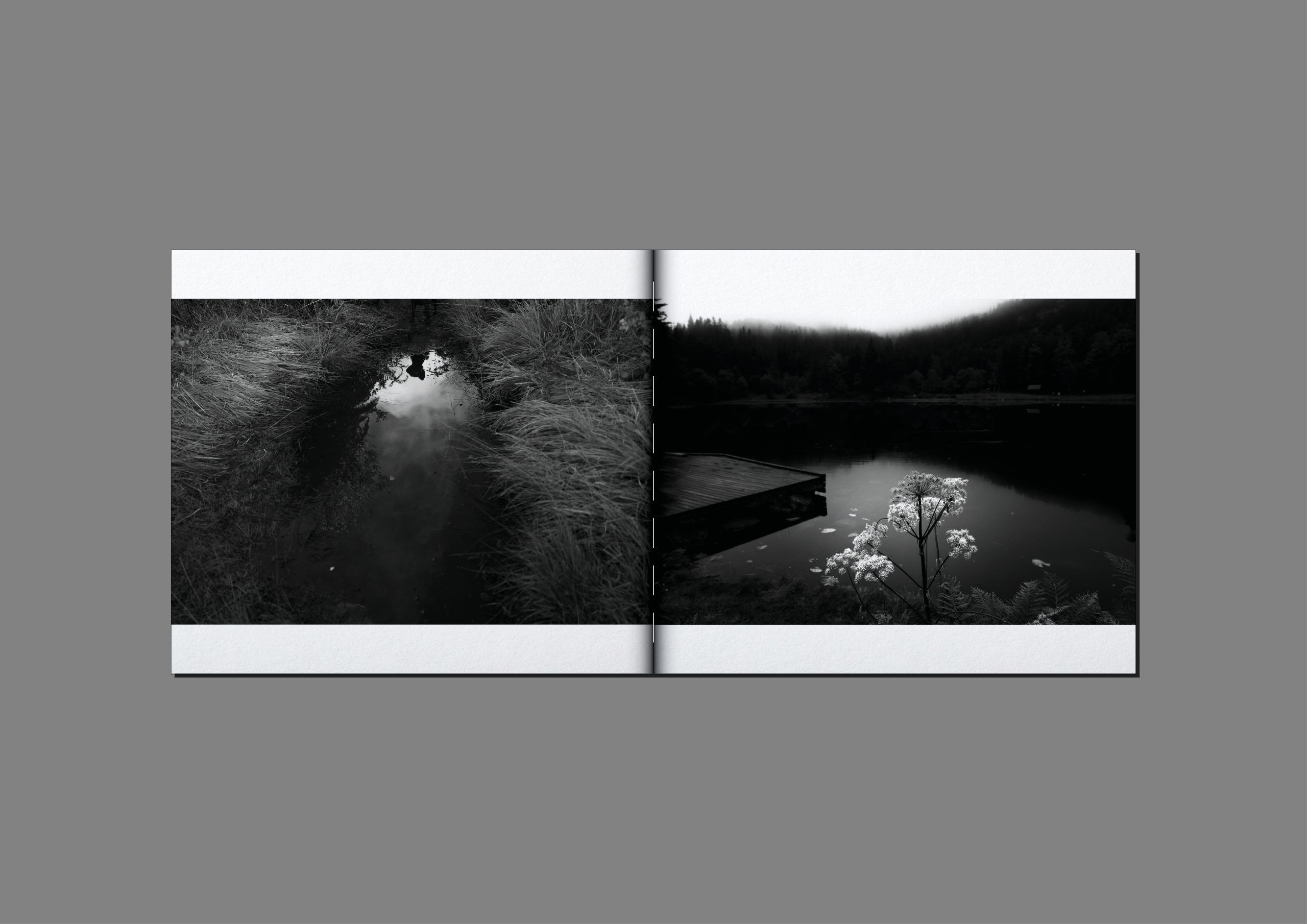 mathieu-chaze-song-of-silent-water