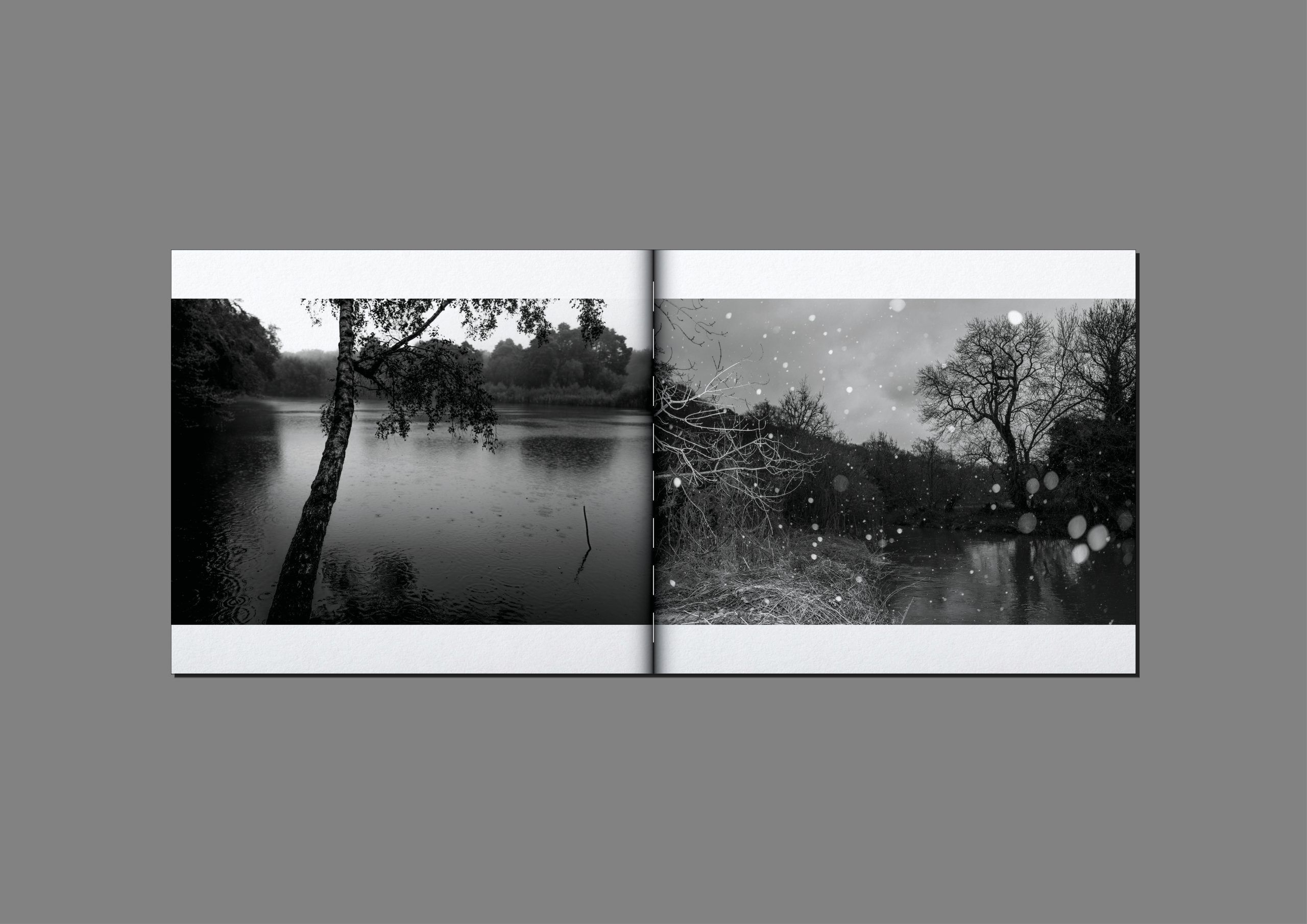 mathieu-chaze-song-of-silent-water