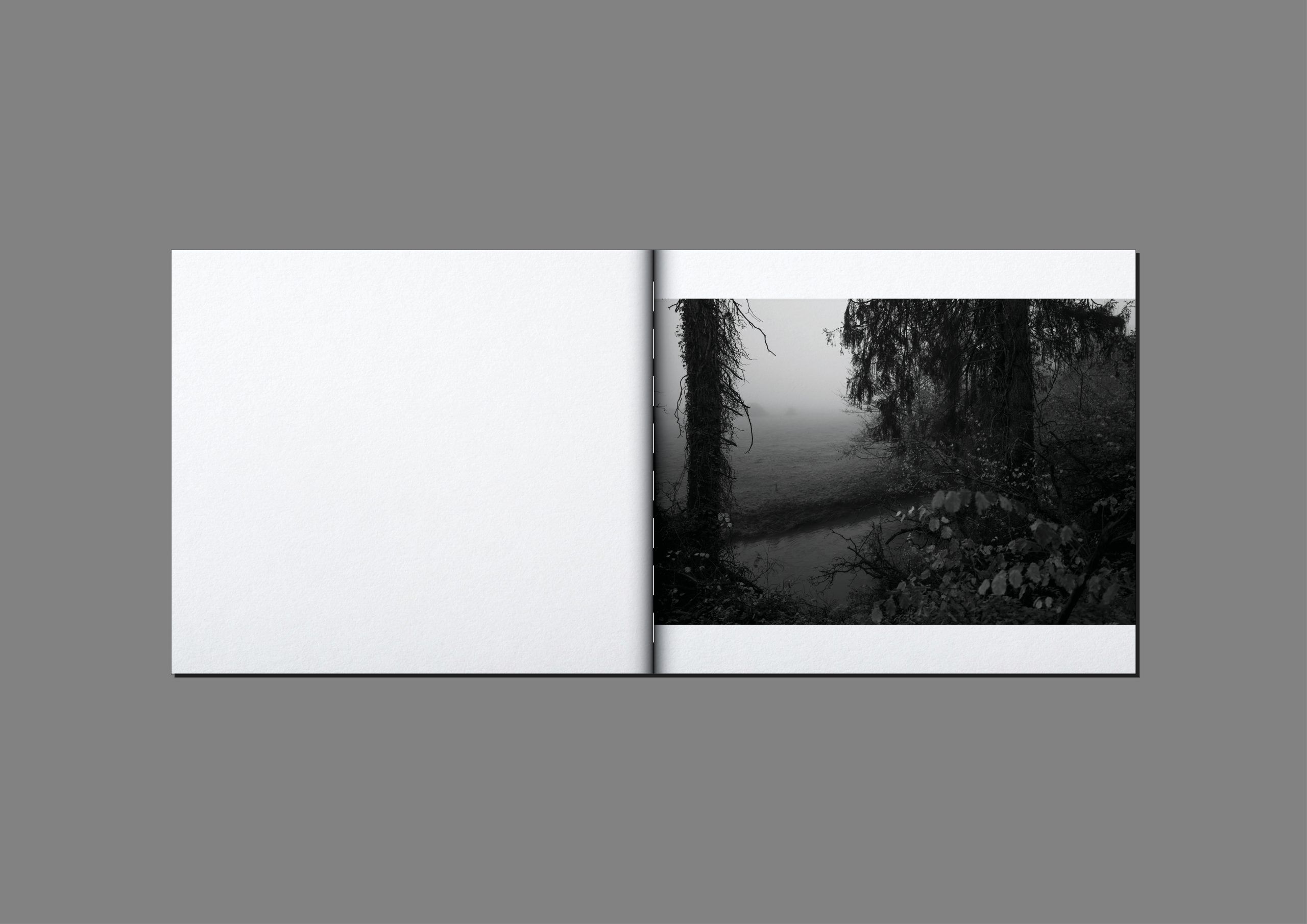 mathieu-chaze-song-of-silent-water