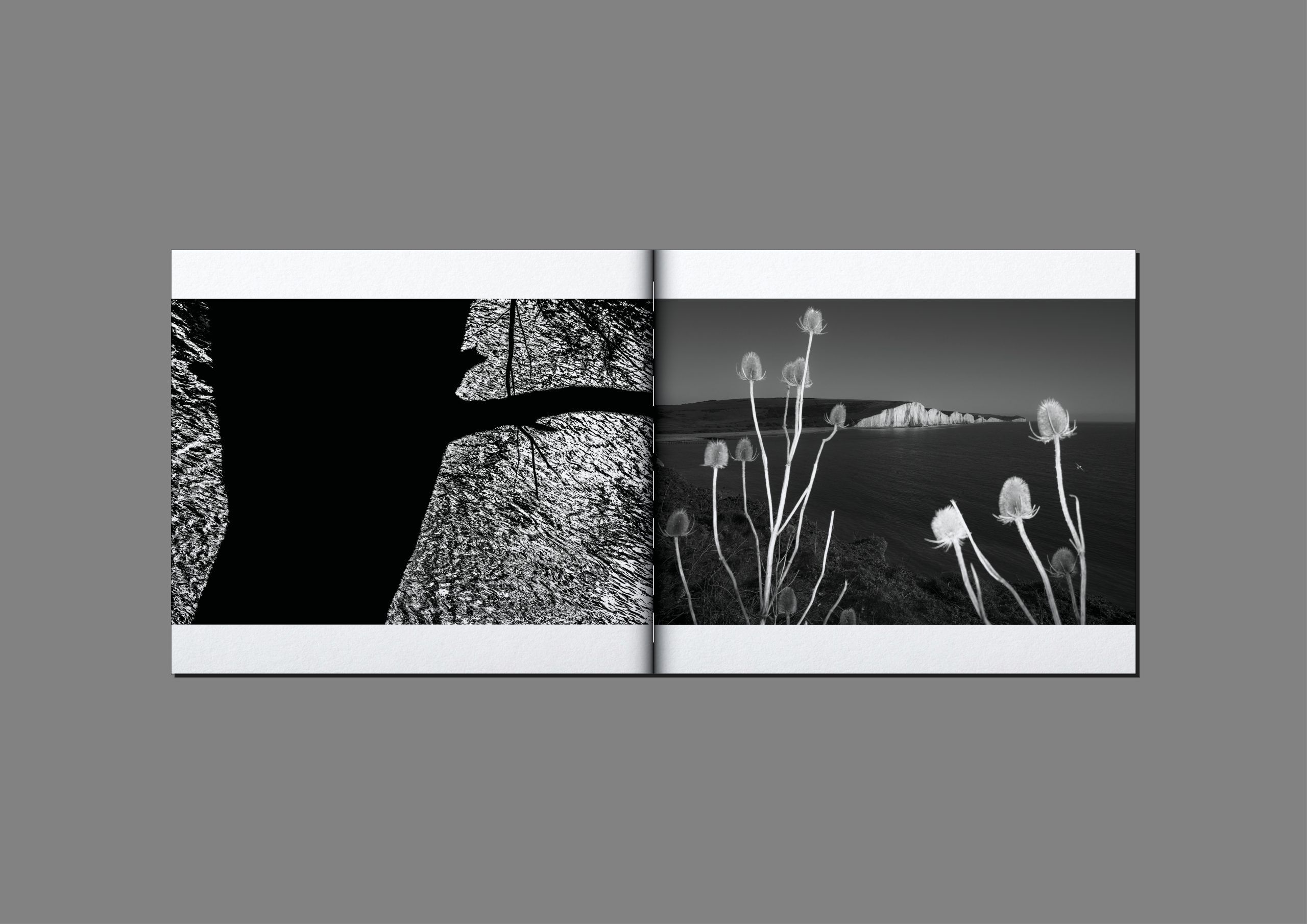 mathieu-chaze-song-of-silent-water