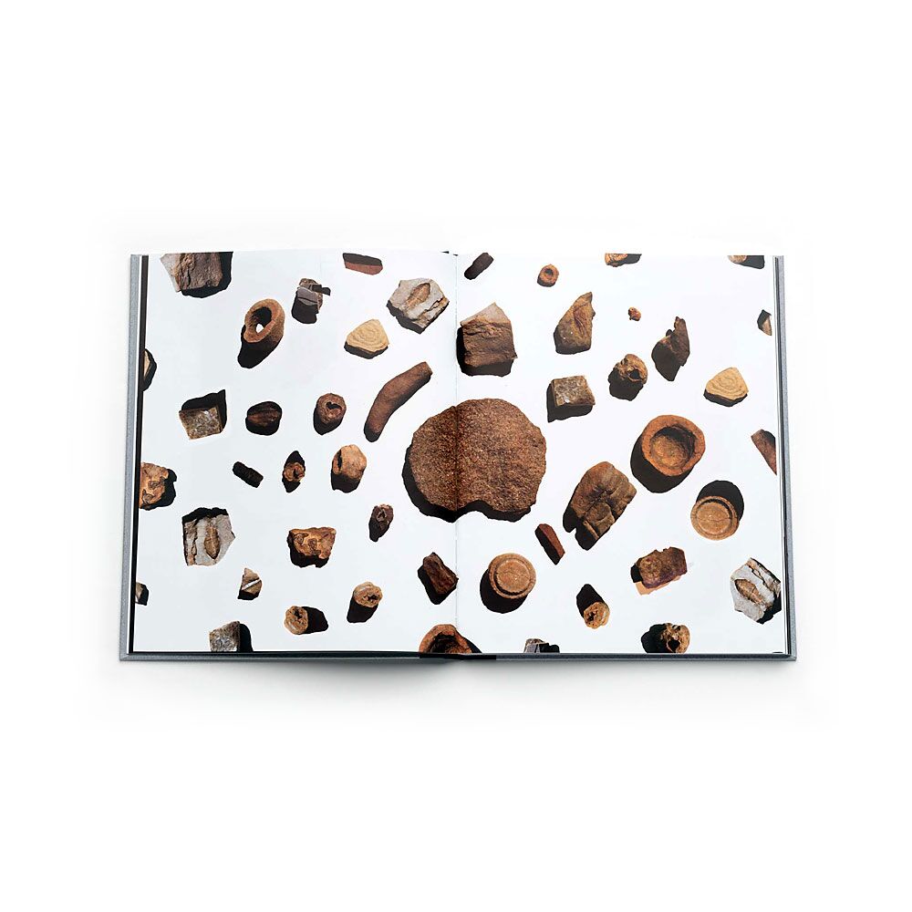 new-gestures-nico-krijno-photobook-photography-lartiere-2016