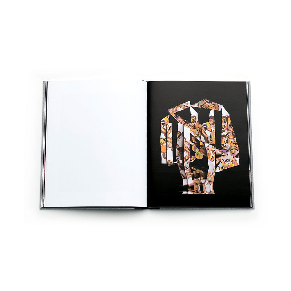 new-gestures-nico-krijno-photobook-photography-lartiere-2016