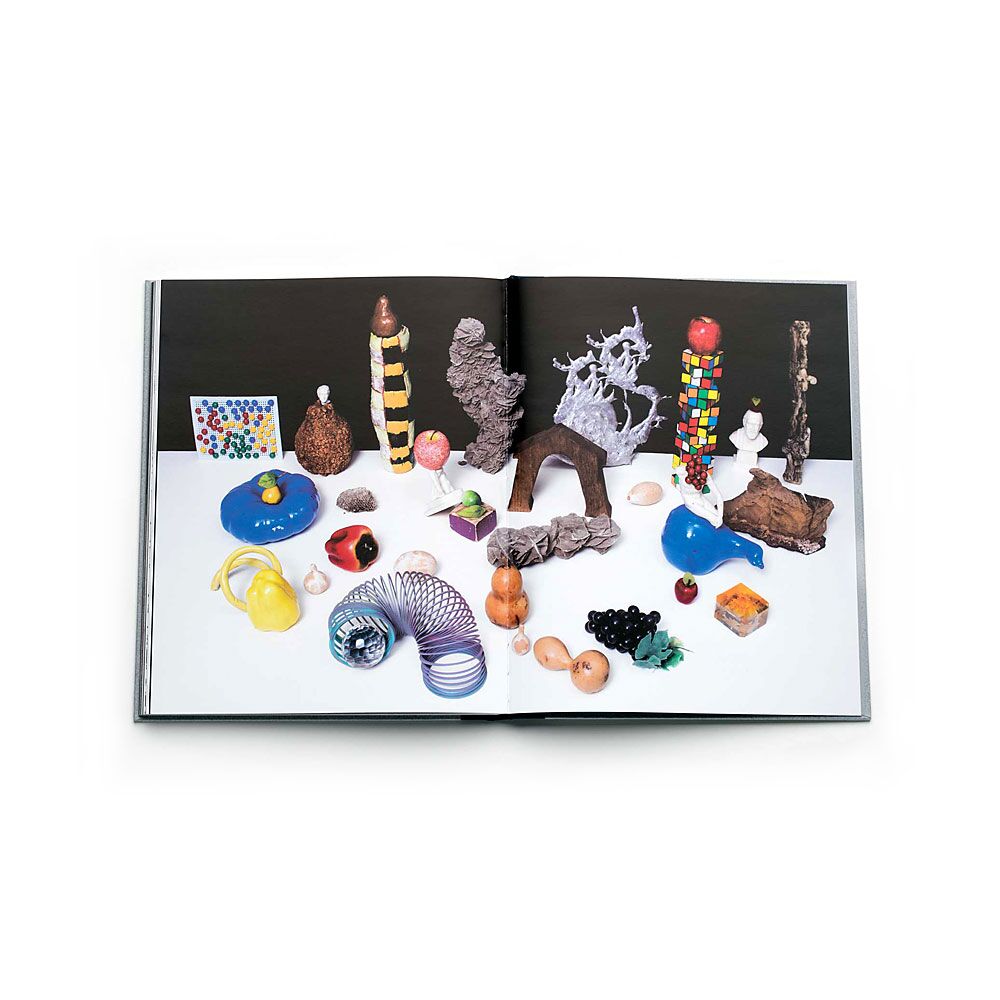 new-gestures-nico-krijno-photobook-photography-lartiere-2016