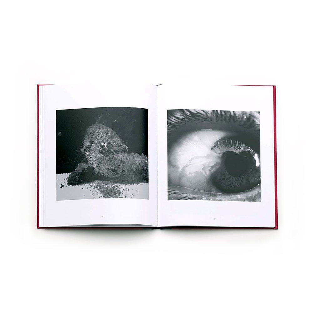 exit-pleasure-victor-cobo-photography-photobook-larry-fink-lartiere-2016
