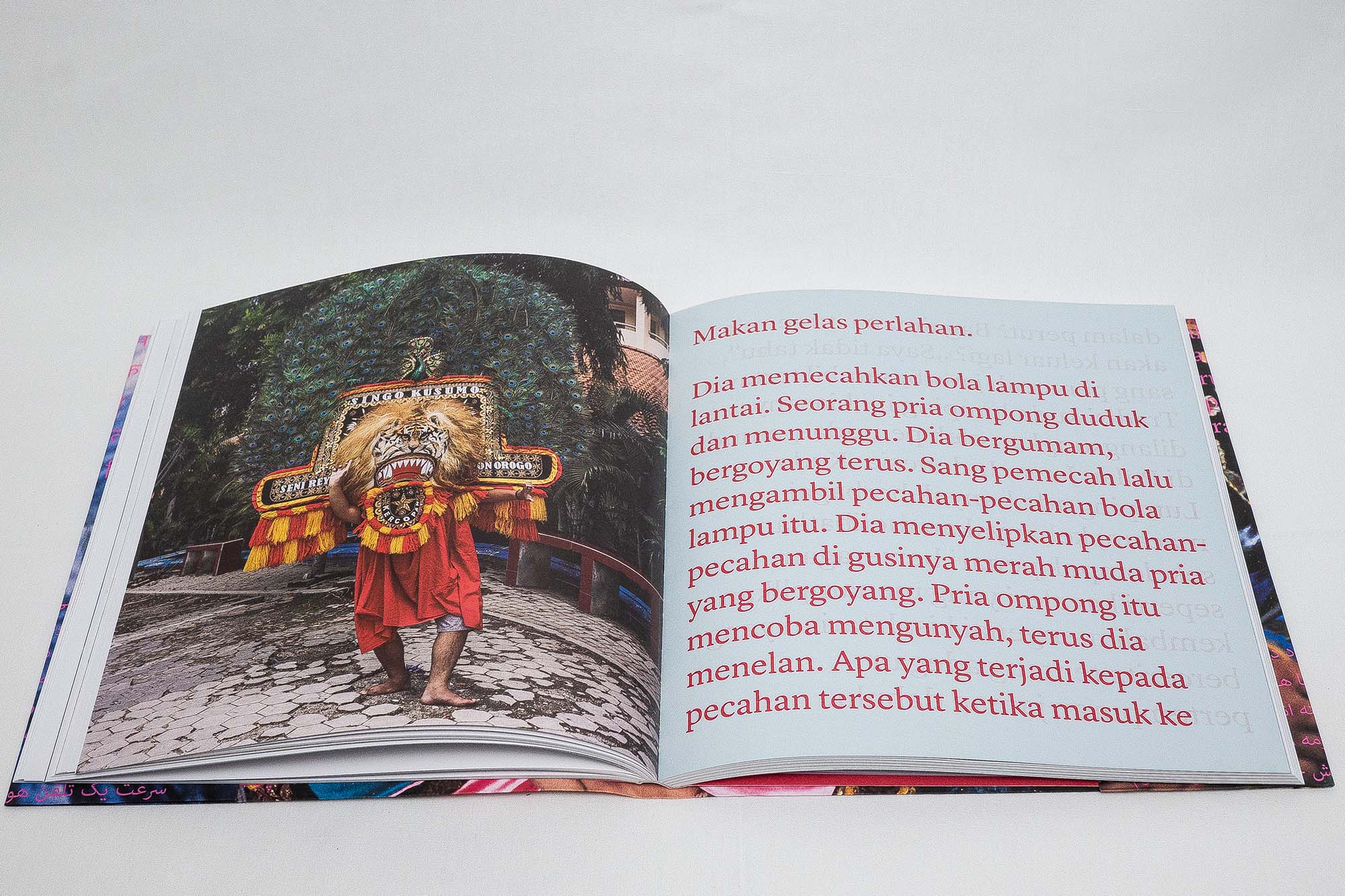 like-a-bird-johanna-maria-fritz-ramon-pez-lartiere-l'artiere-photo book-photobook