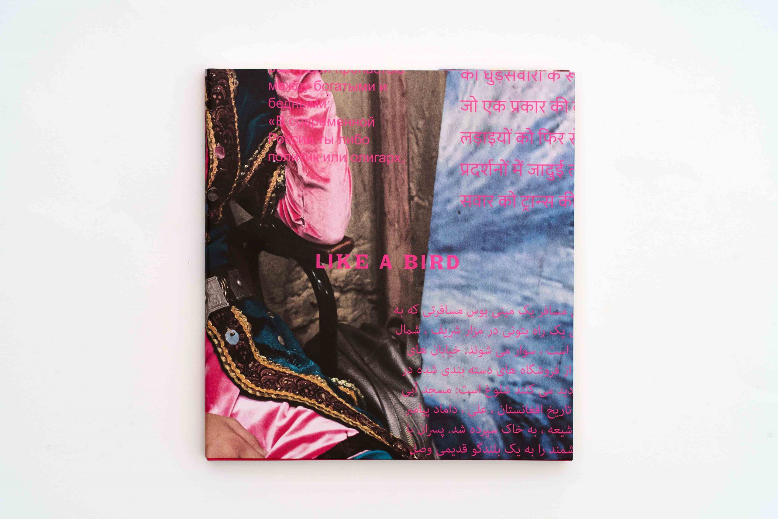 Copertina-Fritz like-a-bird-johanna-maria-fritz-ramon-pez-lartiere-l'artiere-photo book-photobook