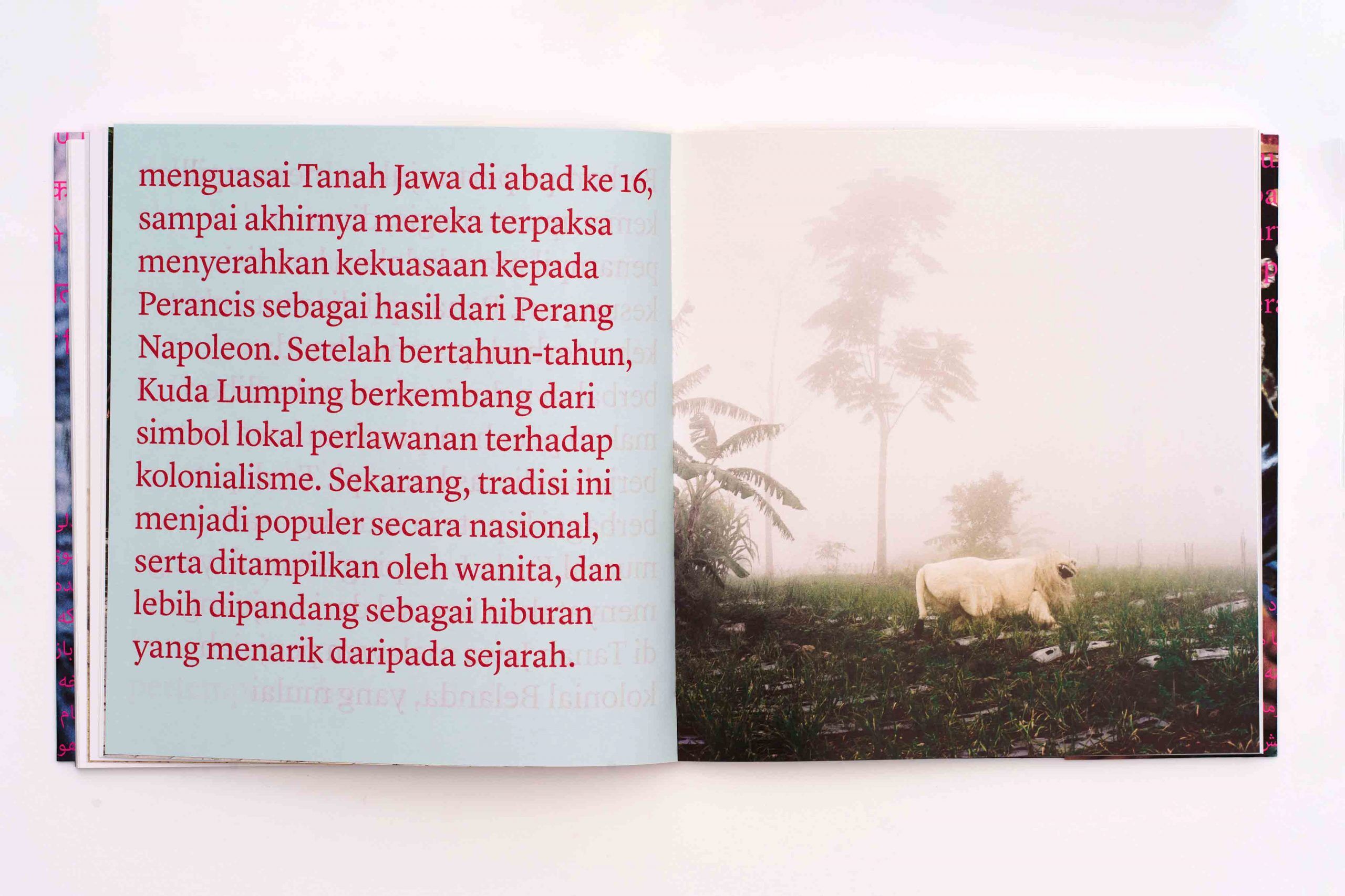like-a-bird-johanna-maria-fritz-ramon-pez-lartiere-l'artiere-photo book-photobook