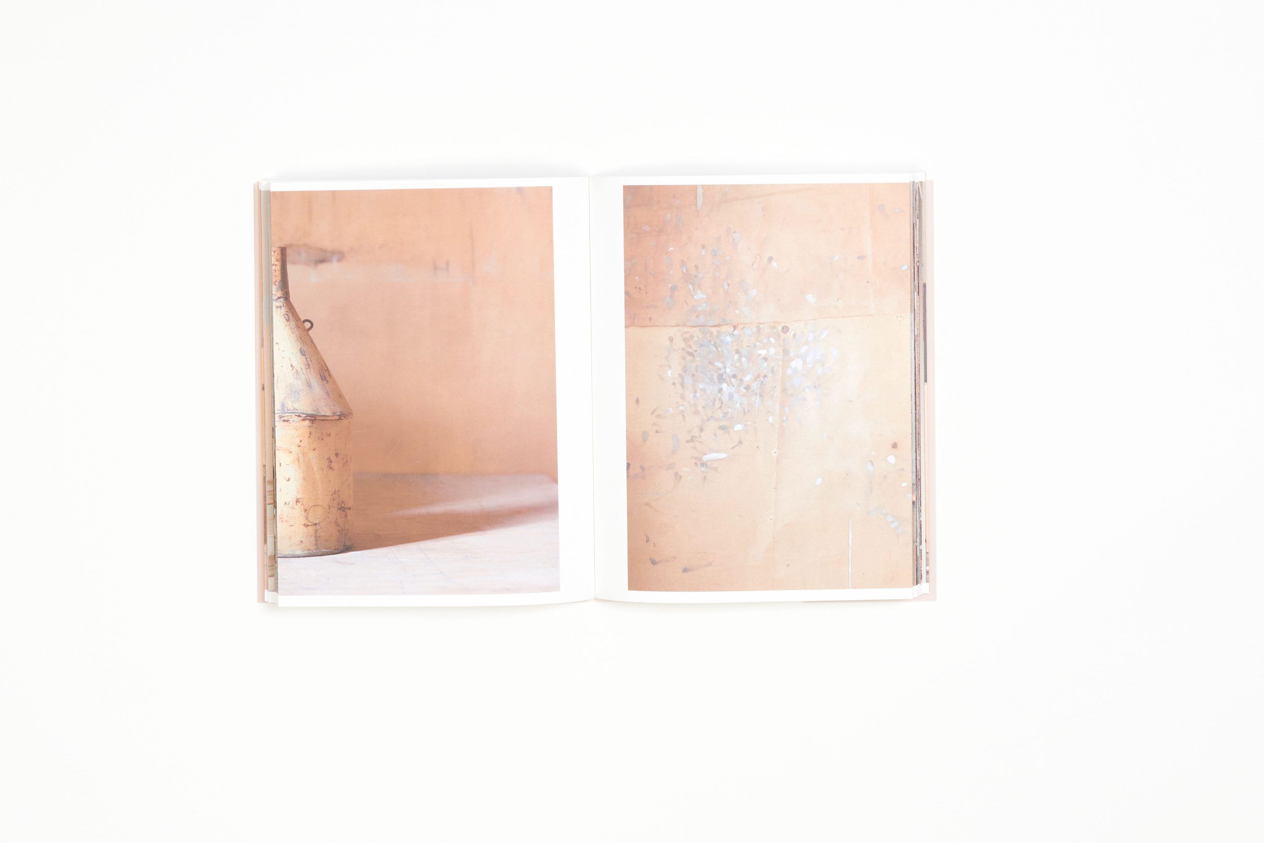mary-ellen-bartley-reading-morandi-l'artiere