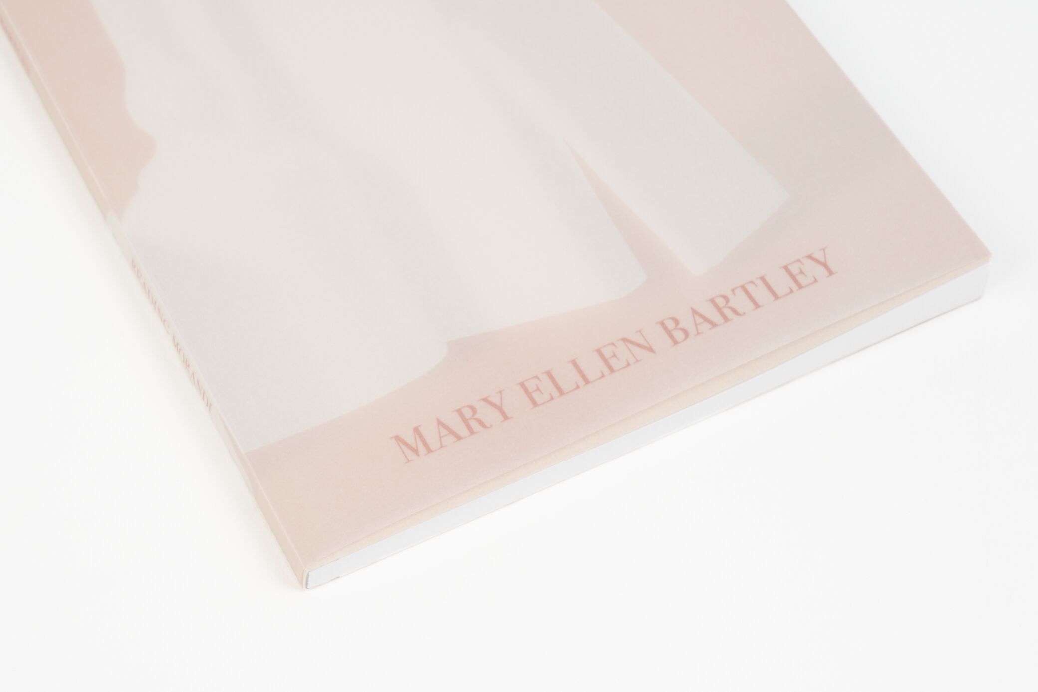 Reading Morandi - MARY ELLEN BARTLEY