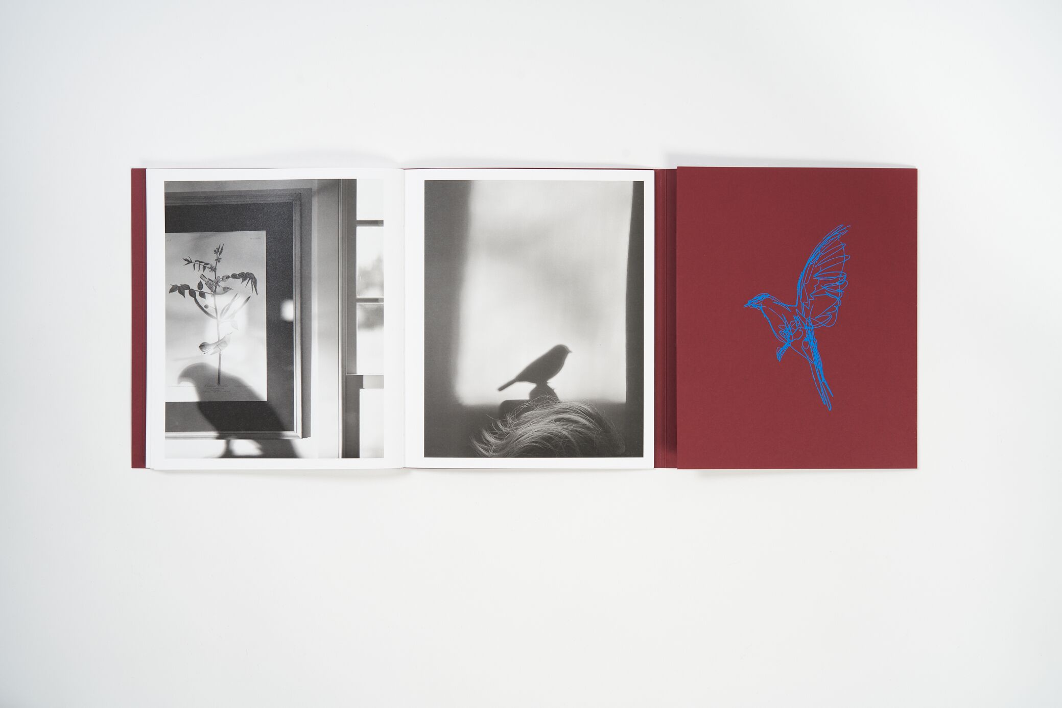 cheryle-st-onge-calling-the-birds-home-l'artiere