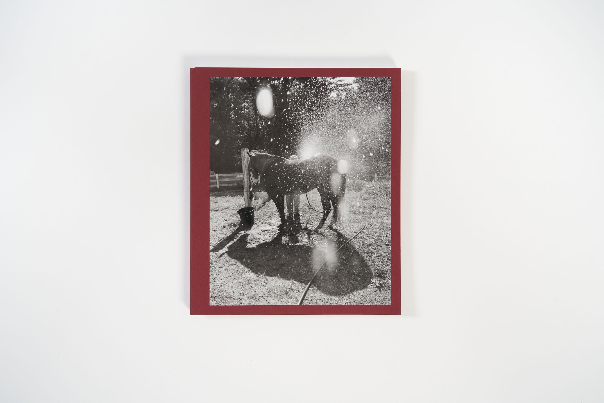 TAA_CheryleST.Ongelow cheryle-st-onge-calling-the-birds-home-l'artiere