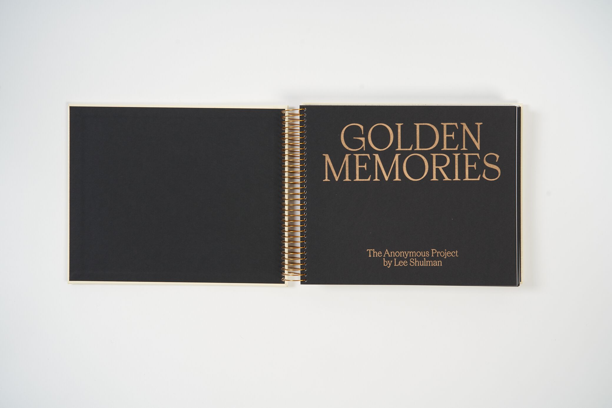 the-anonymous-project-lee-shulman-golden-memories-l'artiere