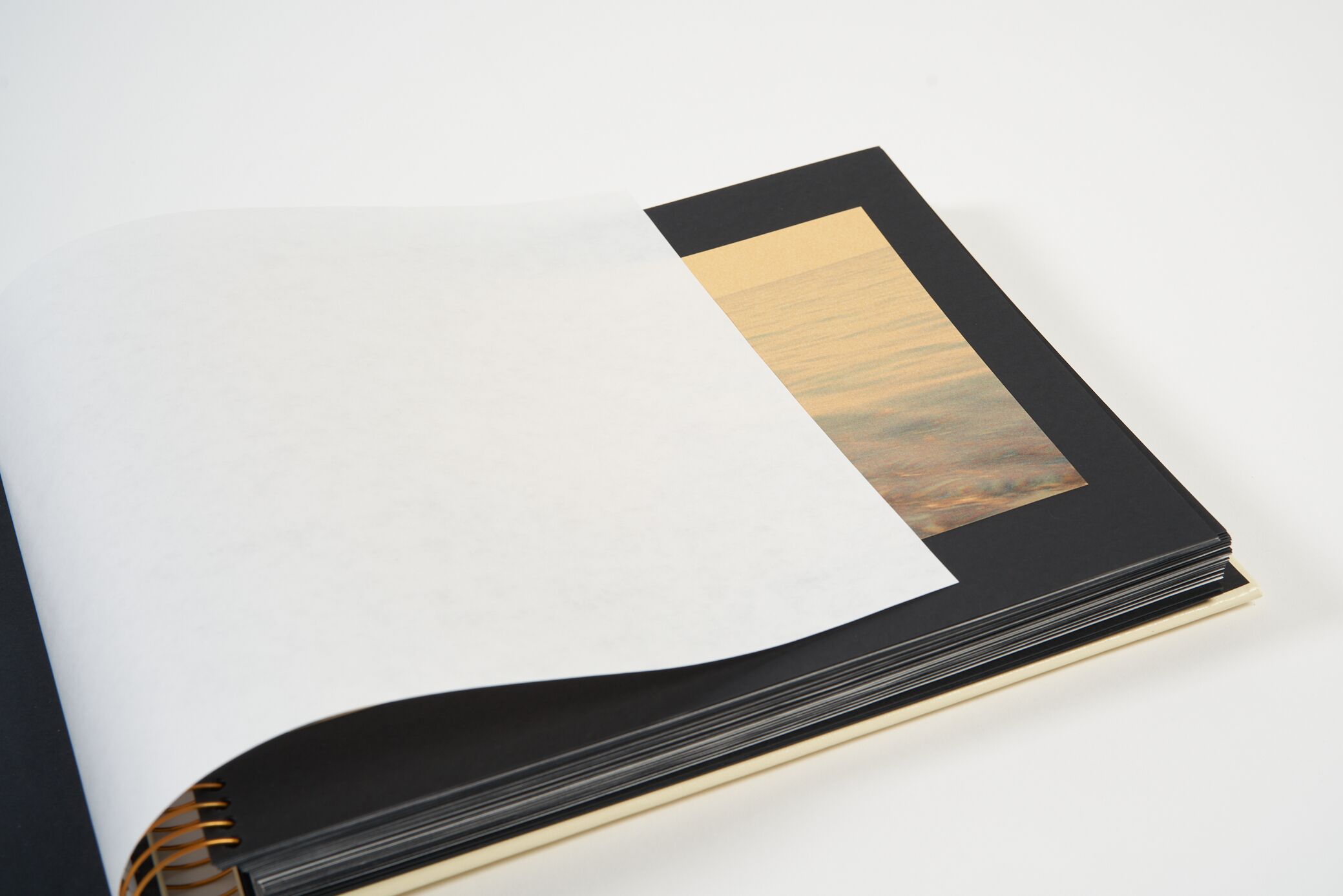 the-anonymous-project-lee-shulman-golden-memories-l'artiere