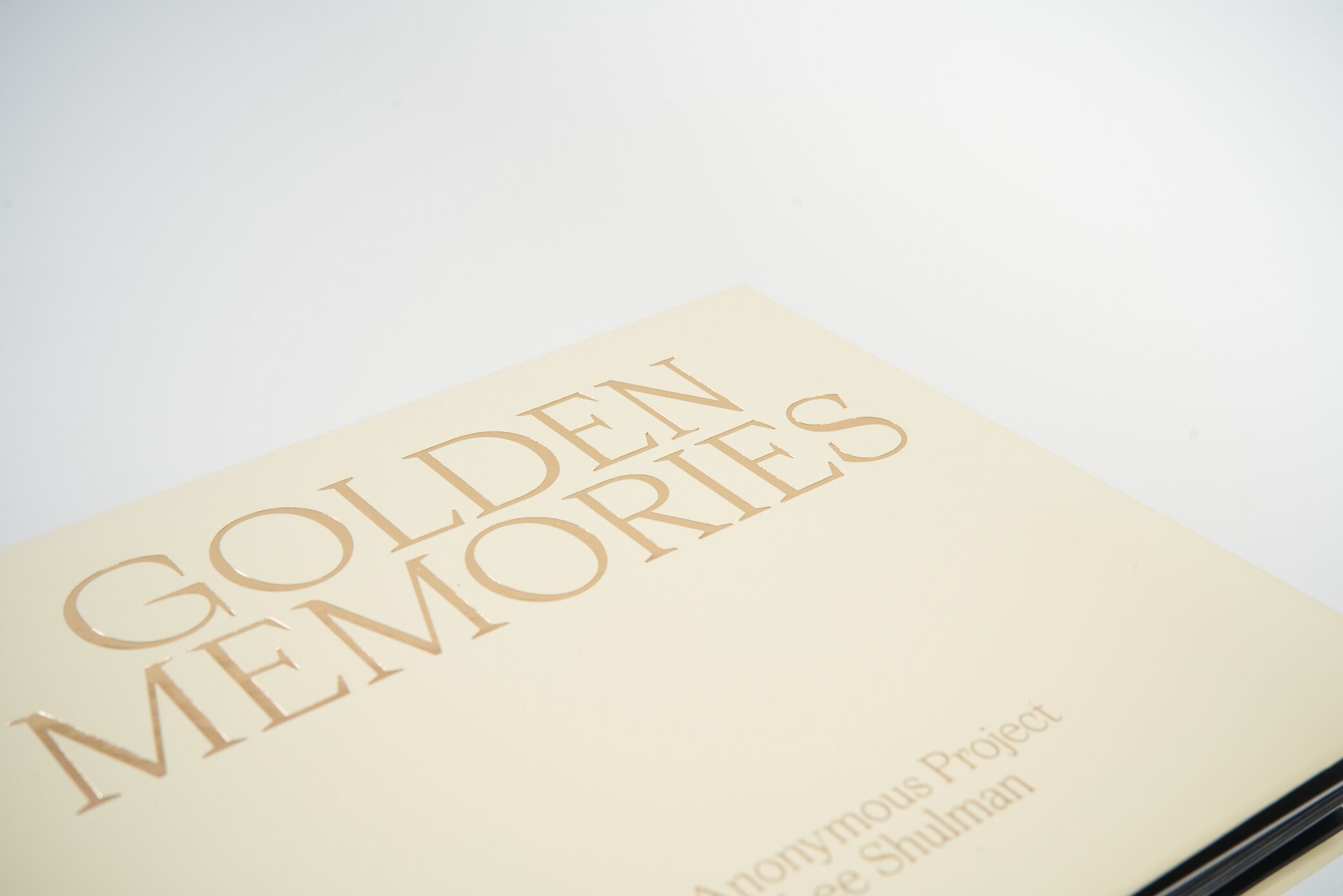 the-anonymous-project-lee-shulman-golden-memories-l'artiere