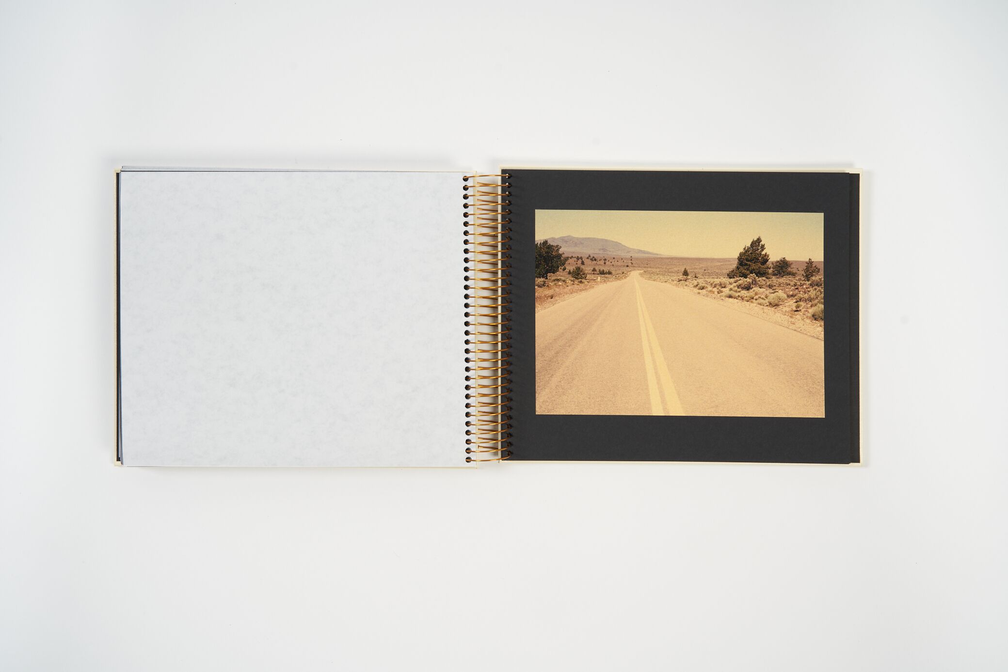 the-anonymous-project-lee-shulman-golden-memories-l'artiere