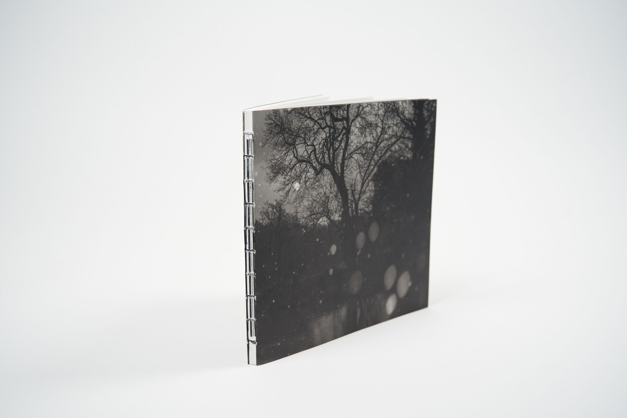 mathieu-chaze-song-of-silent-water